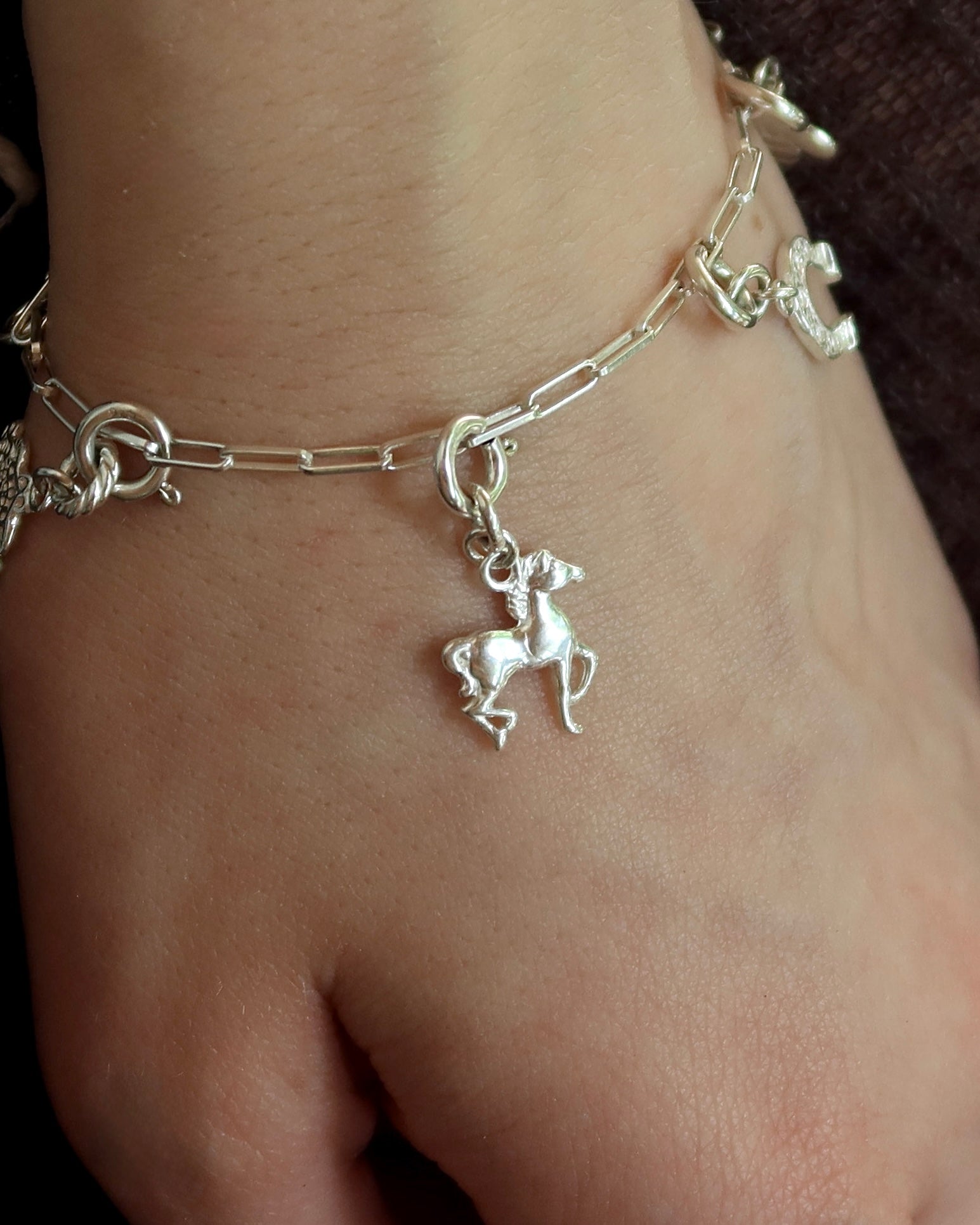 EPONA charms koń